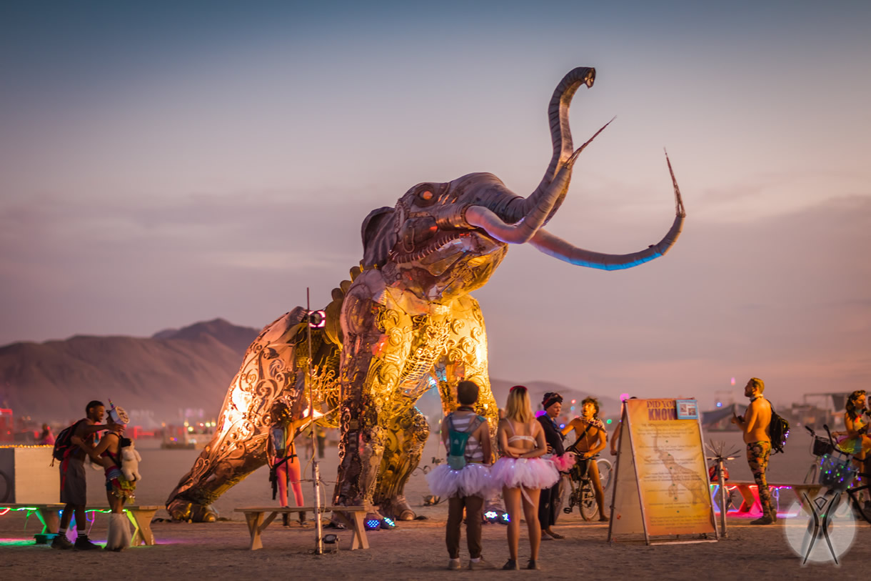 Festival américain Burning Man NetKulture